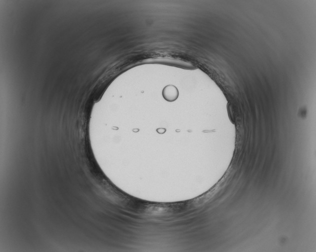 X0000116850174201001191648