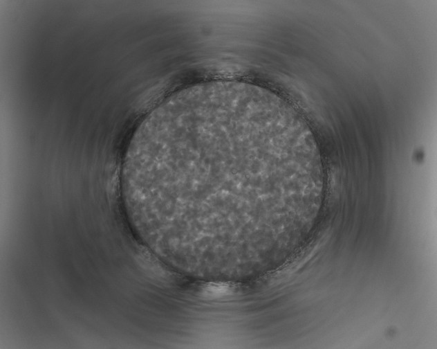 X0000116850177201001191648
