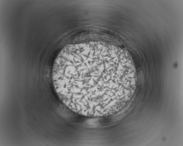 X0000116850178201001191648