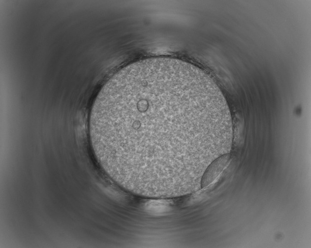 X0000116850179201001191648