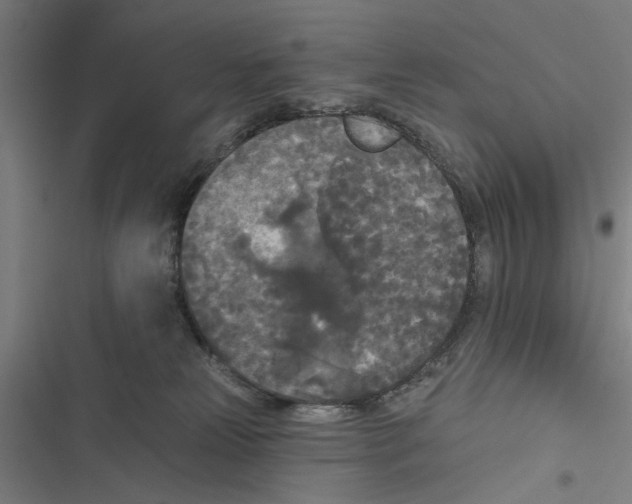 X0000116850181201001191648
