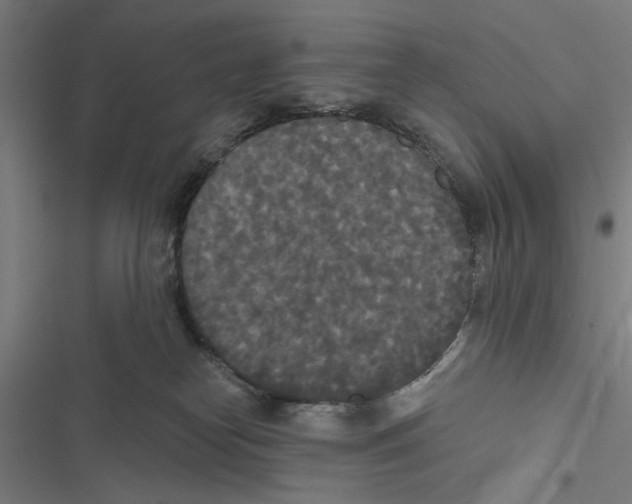 X0000116850182201001191648