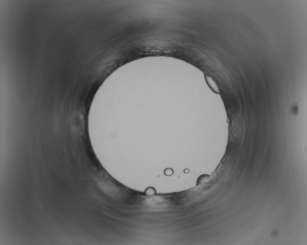 X0000116850183201001191648
