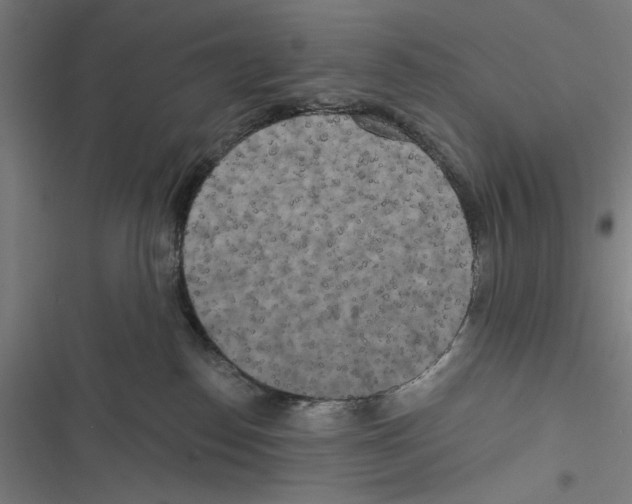 X0000116850186201001191648