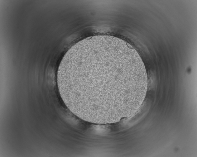 X0000116850187201001191648