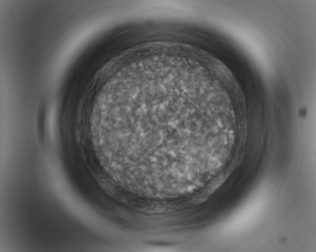 X0000116850189201001191648