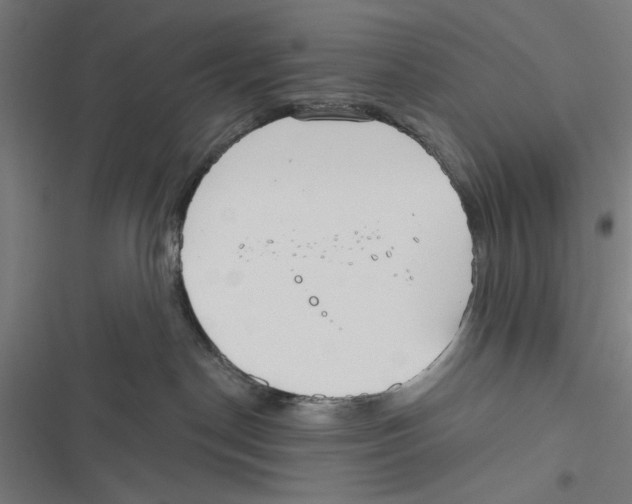 X0000116850190201001191648