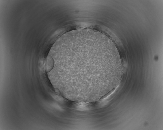 X0000116850191201001191648