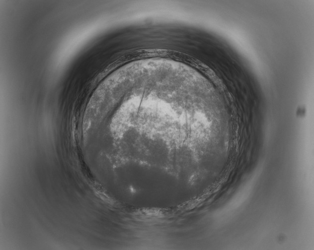 X0000116850194201001191647