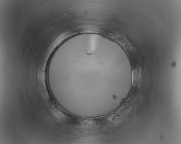 X0000116850195201001191647