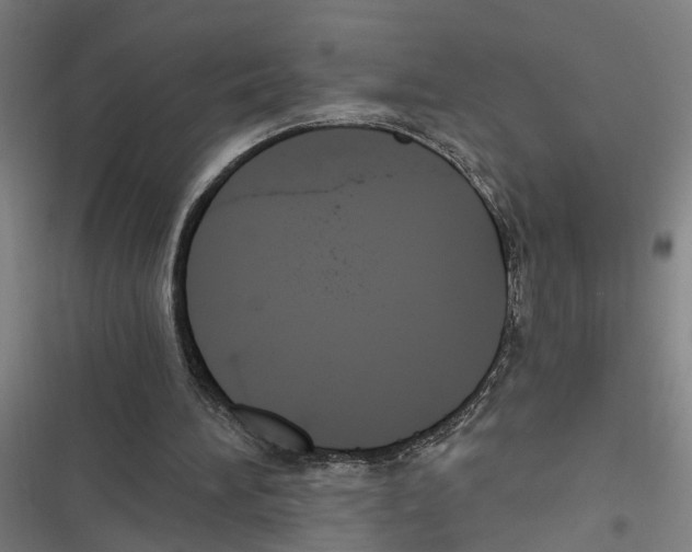 X0000116850196201001191647