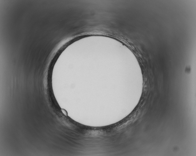 X0000116850200201001191647