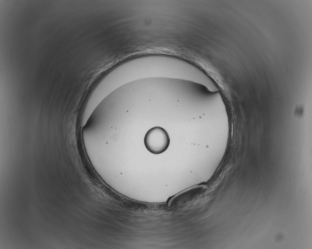 X0000116850201201001191647