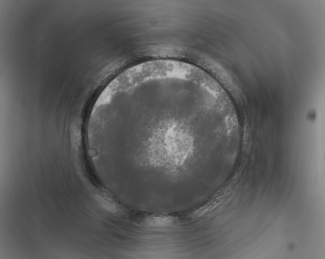 X0000116850202201001191647