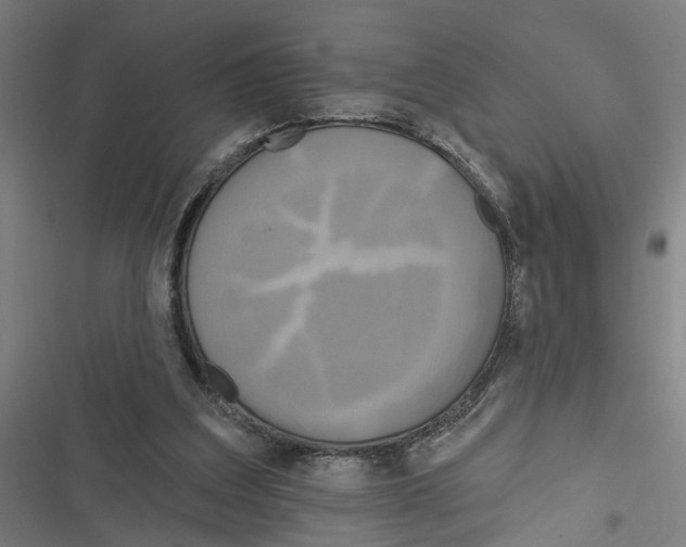 X0000116850203201001191647