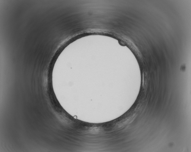 X0000116850204201001191647