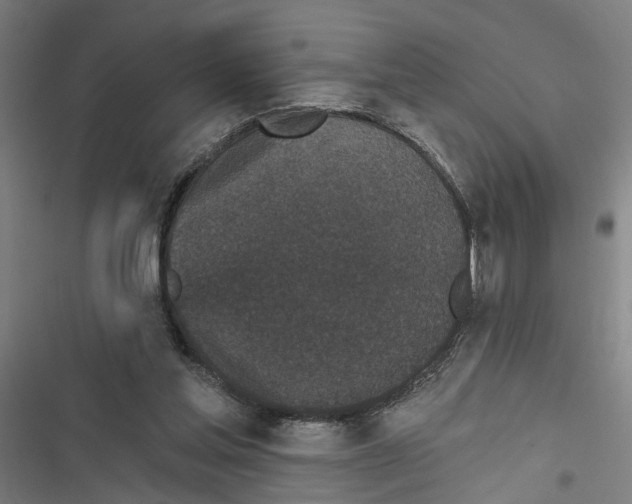 X0000116850205201001191647