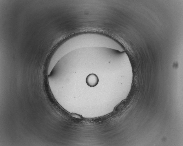 X0000116850207201001191647