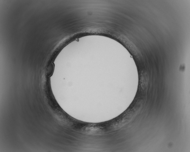 X0000116850208201001191647
