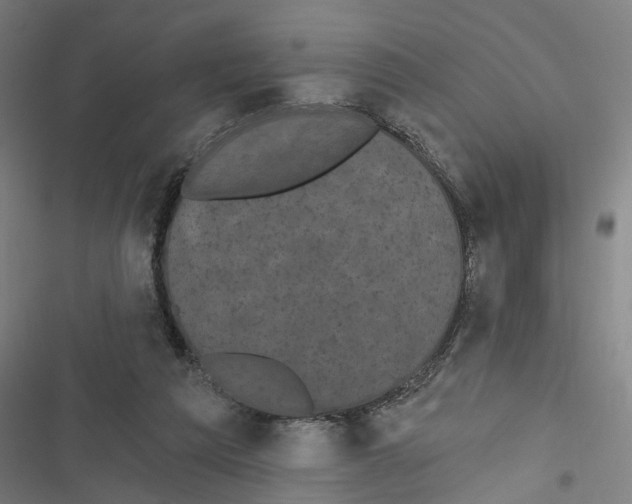 X0000116850209201001191647