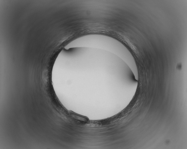X0000116850211201001191647