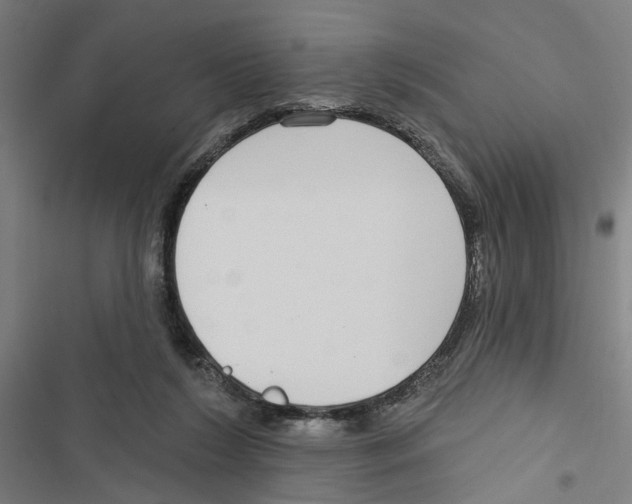 X0000116850212201001191647