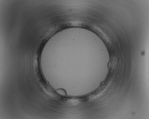X0000116850213201001191647