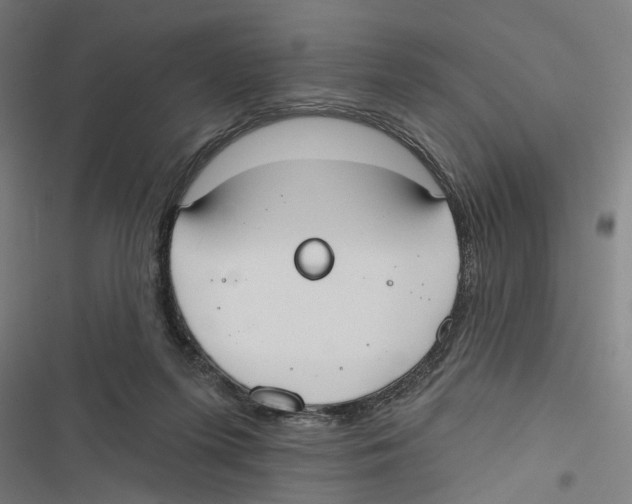 X0000116850215201001191647