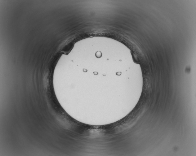 X0000116850216201001191647