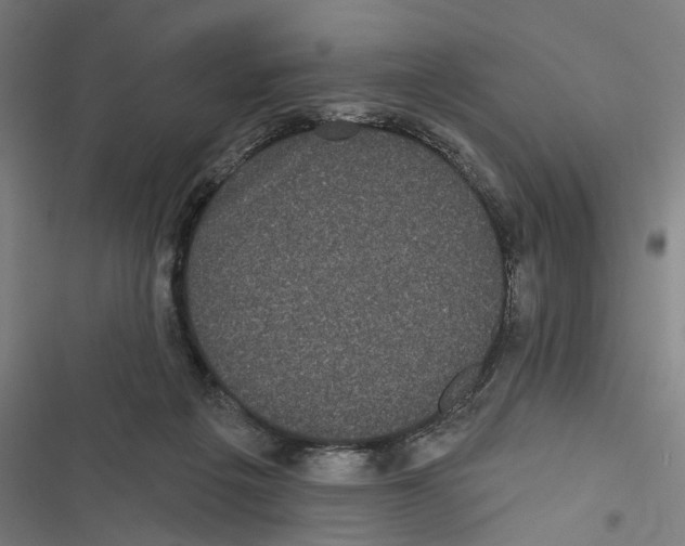 X0000116850217201001191647
