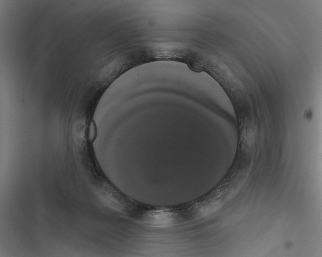 X0000116850219201001191647