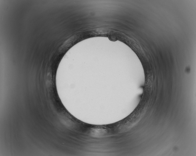 X0000116850220201001191647