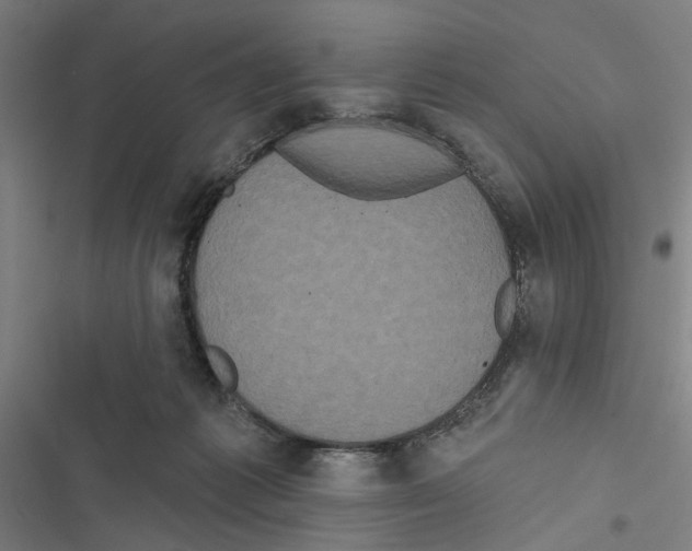 X0000116850221201001191647