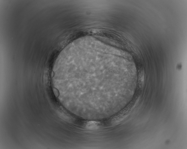 X0000116850222201001191647