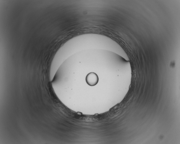 X0000116850223201001191647