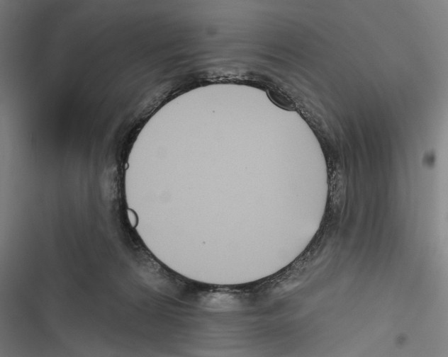 X0000116850224201001191647