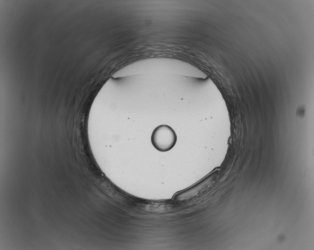 X0000116850225201001191647