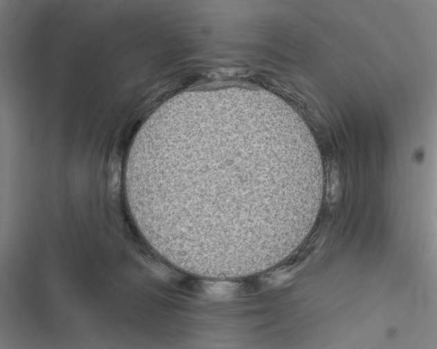 X0000116850226201001191647