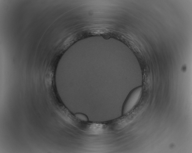 X0000116850227201001191647