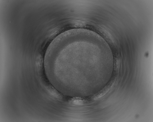 X0000116850228201001191647