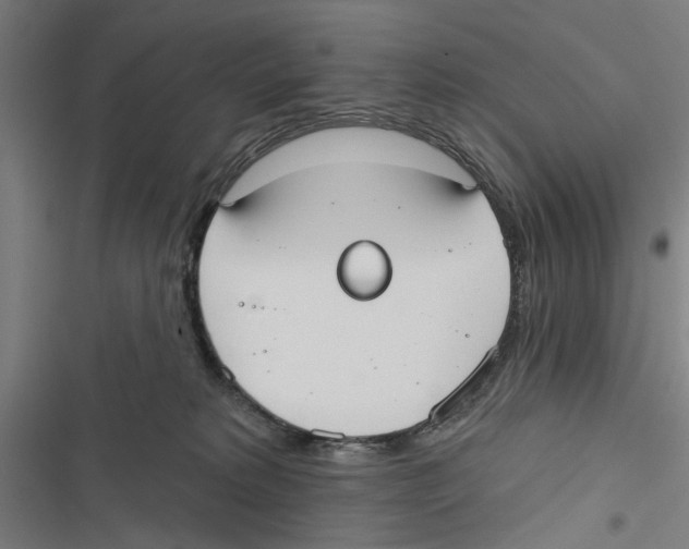 X0000116850229201001191647