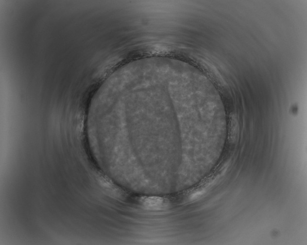 X0000116850230201001191647