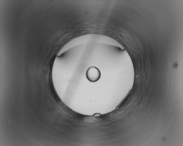 X0000116850231201001191647