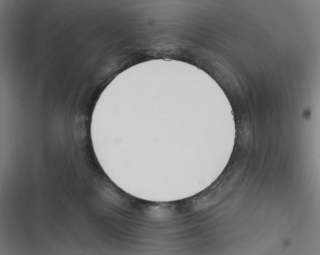 X0000116850232201001191647
