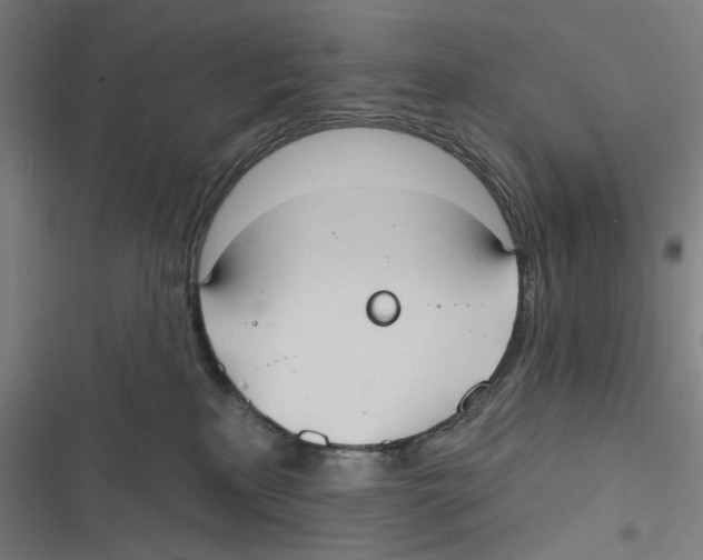 X0000116850233201001191647