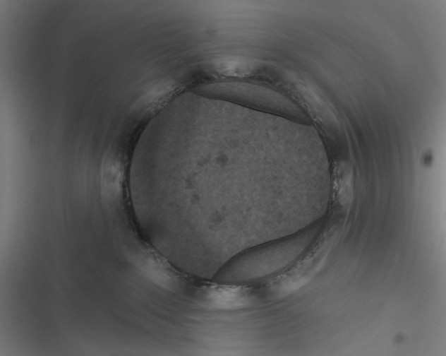 X0000116850235201001191647