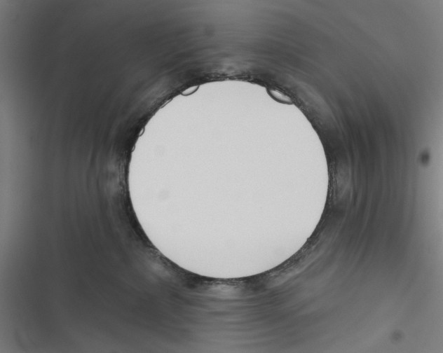 X0000116850236201001191647