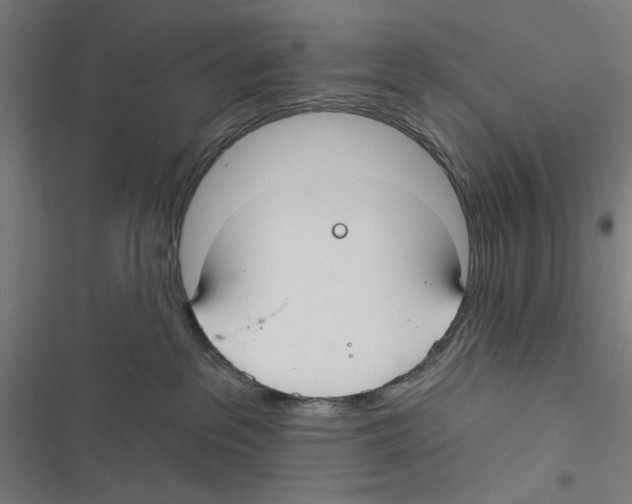 X0000116850237201001191647