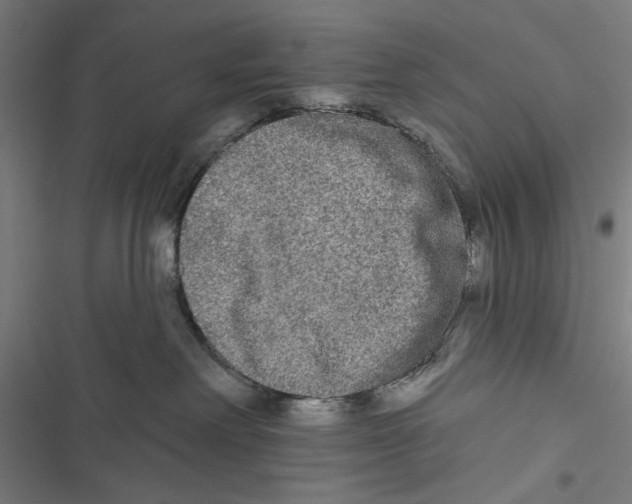 X0000116850238201001191647