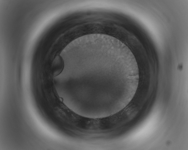 X0000116850239201001191647